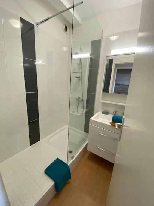 Proche Cure Thermale ,2 Couchages 160, Duplex 39M2 Рошвор Екстериор снимка